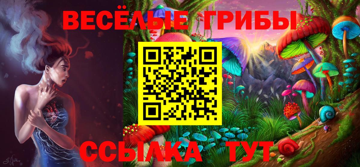 Псилоцибиновые грибы Psilocybe  Вход с VPN  Красногорск  Псилоцибиновые грибы мухоморы 