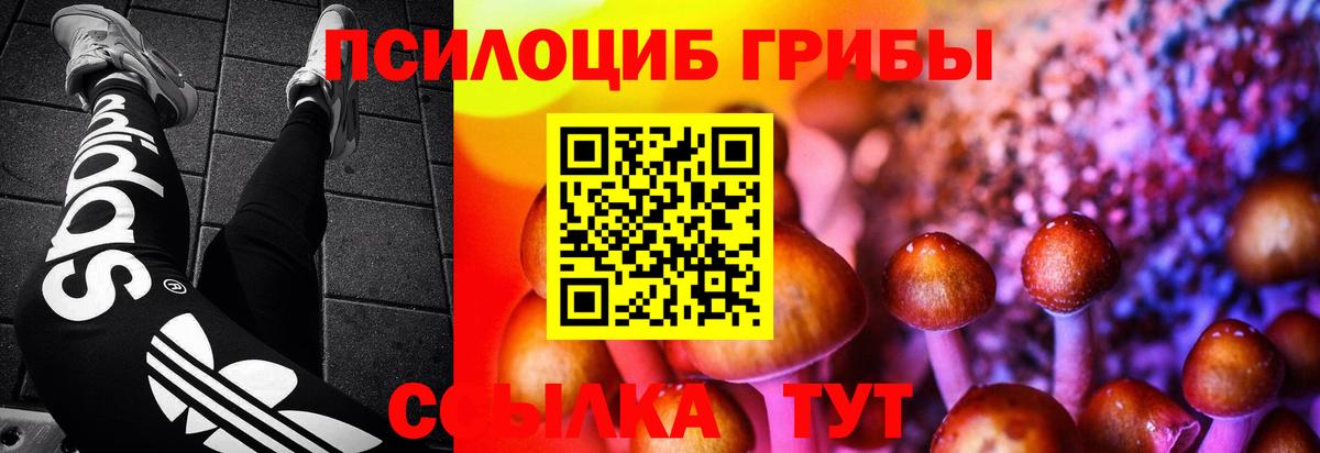 Псилоцибиновые грибы Psilocybine cubensis Красногорск